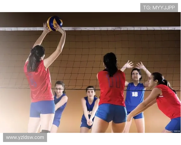 从基础到实战全面提升你的排球技术与战术意识教学视频