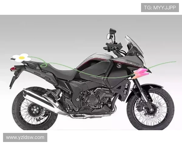 围绕摩托车比赛规则解析赛事安全与竞技规范全景指南操作要点详解